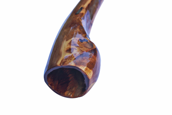 Unnamed Juniper #5 - Image 2